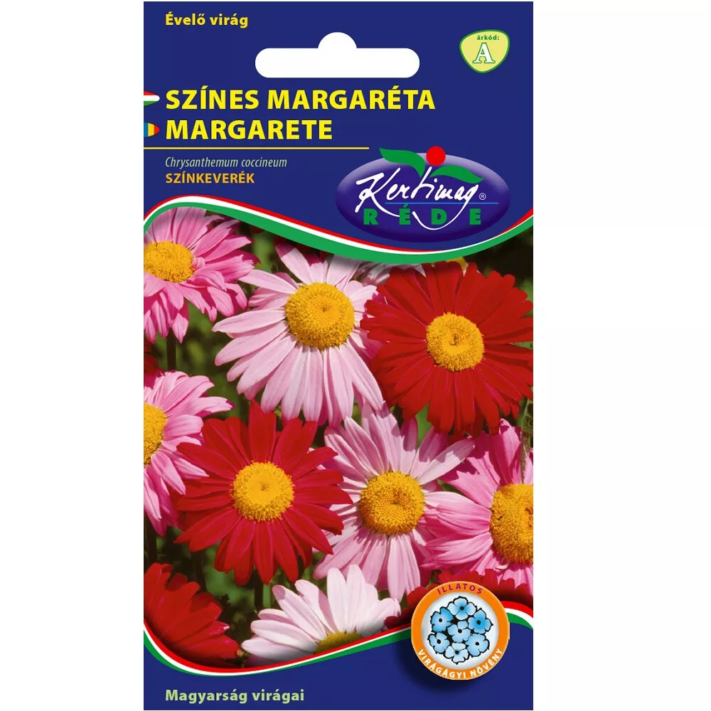 aranytalicska20261020214532162846