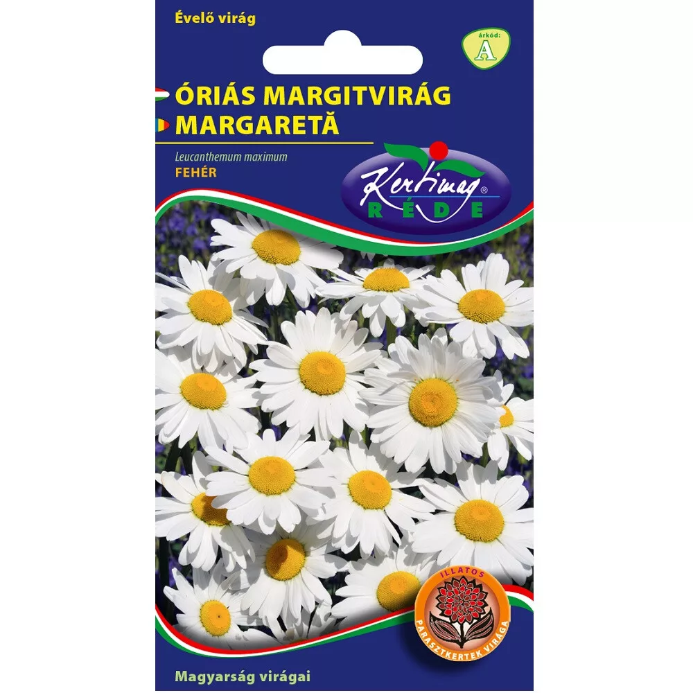 aranytalicska20261020214542162872