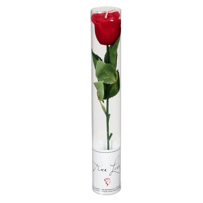 jumbowebshop20261020191653132257