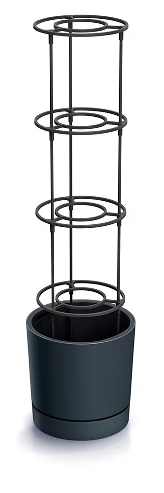 kissvilag-120261020175750111802