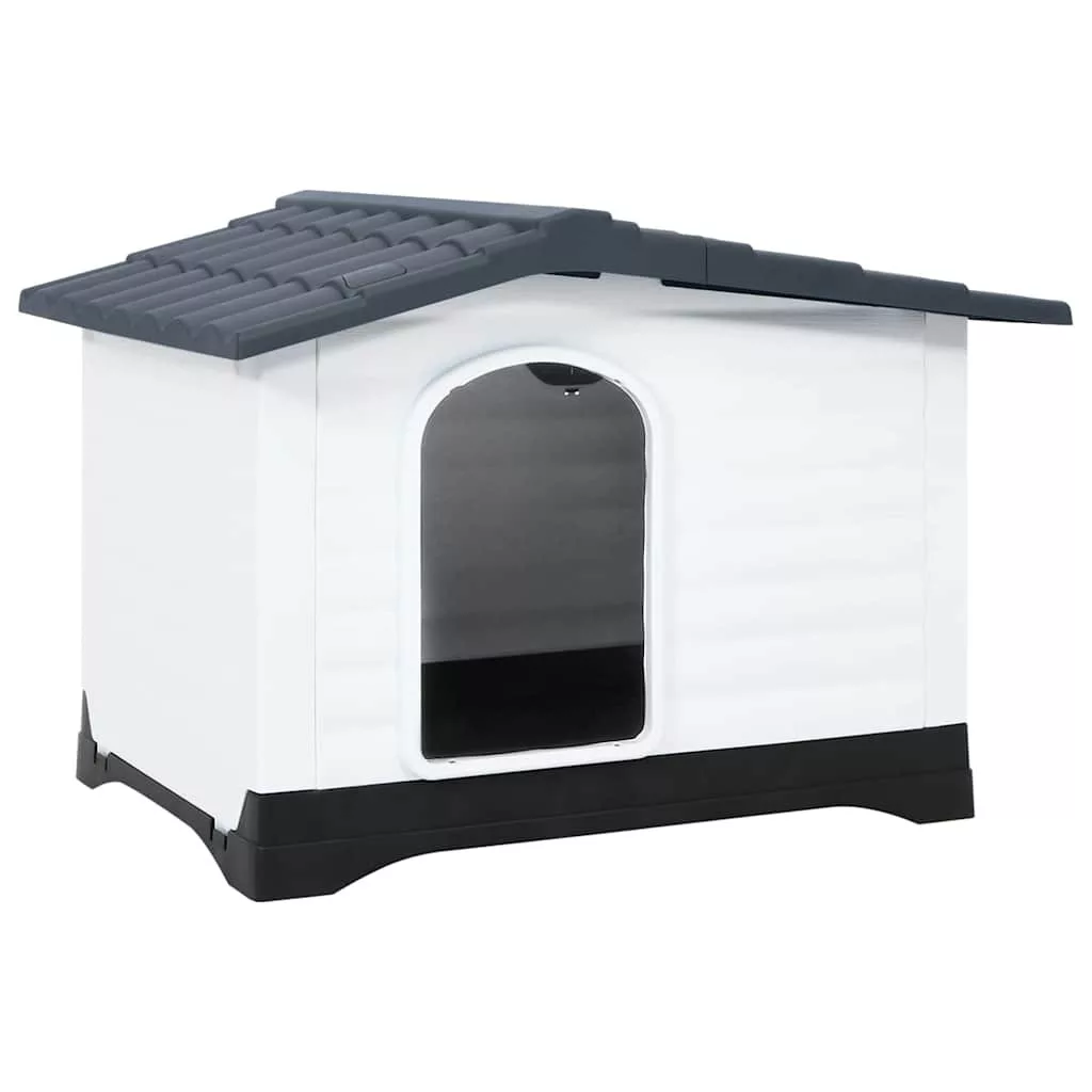 kissvilag-120261020194158138037