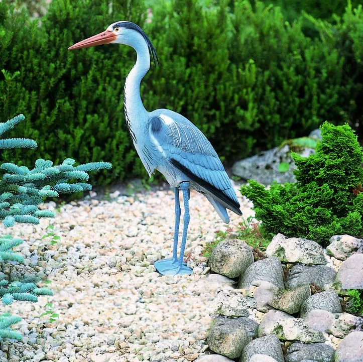 koi-kert20261020194630138948