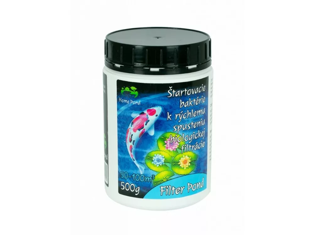 koi-kert20261020194814139296