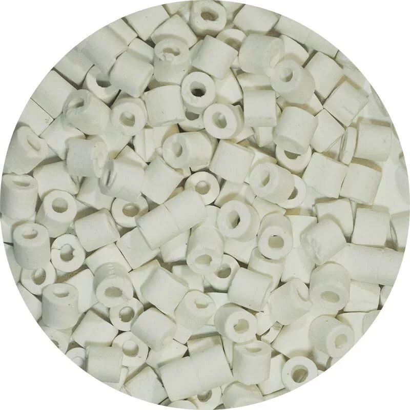 koi-kert20261020202446147212
