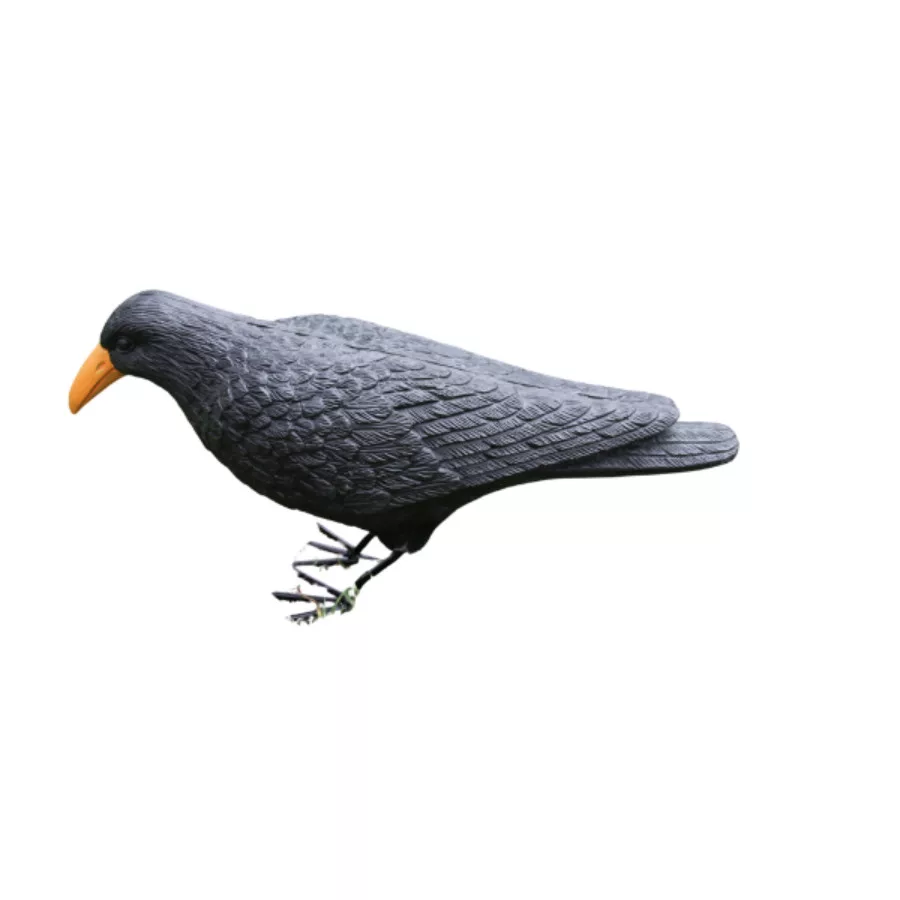 koi-kert20261020213728161536