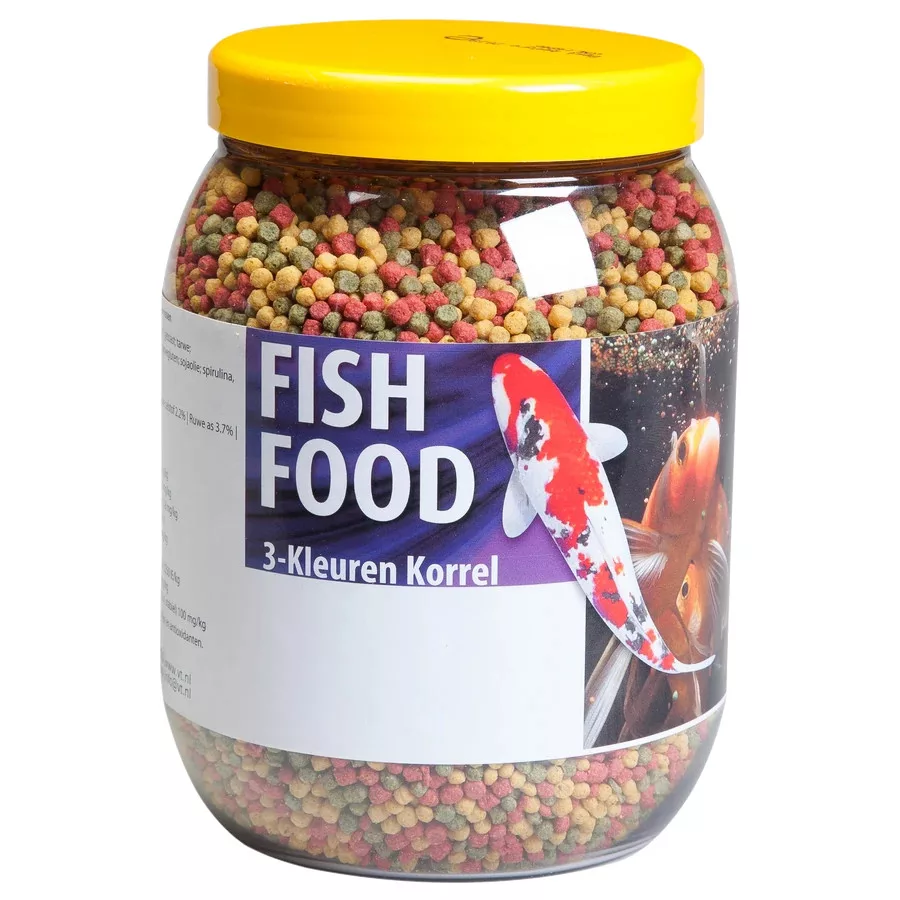 koi-kert20261020233350172265
