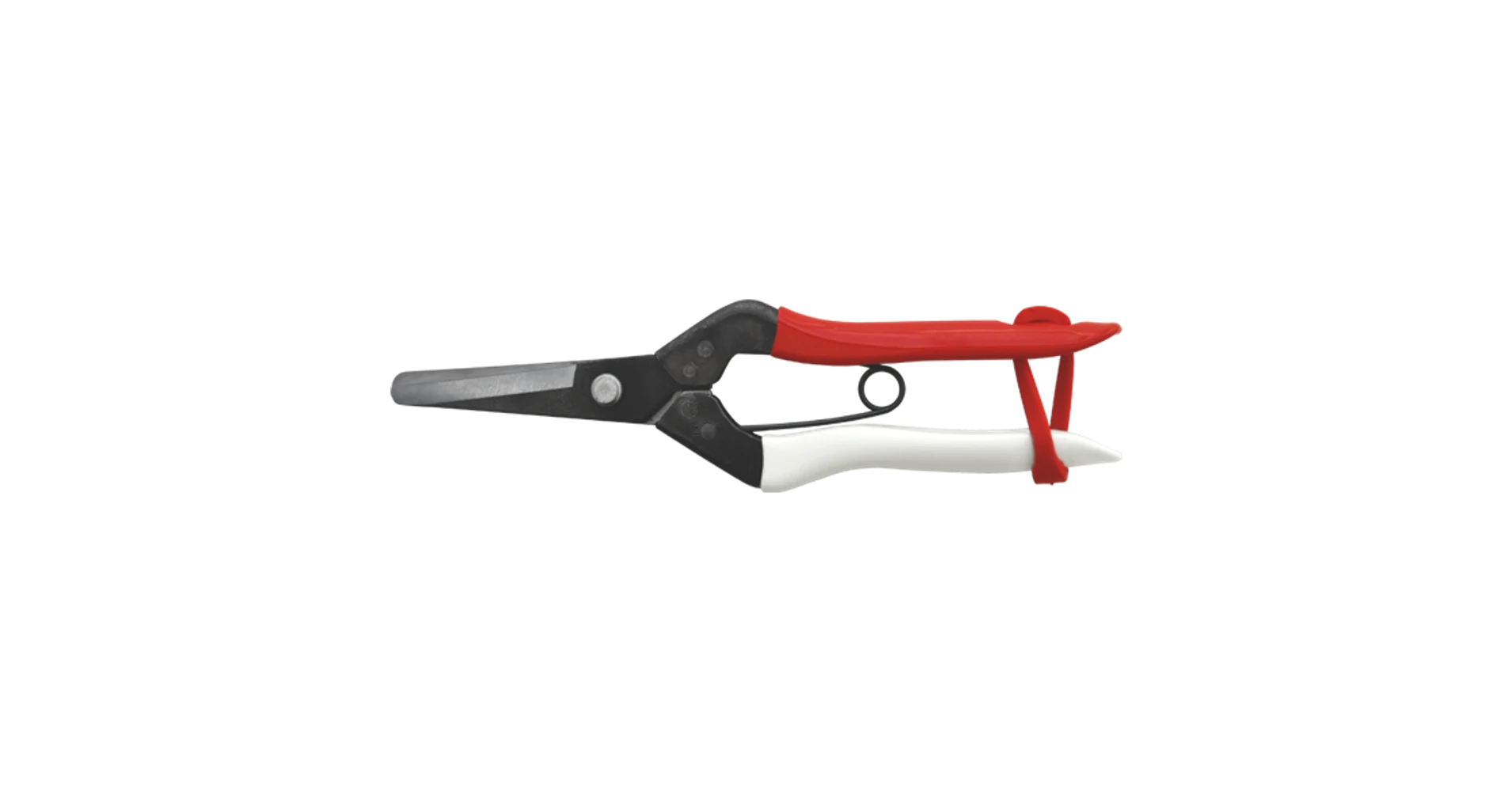 legbolt20261020180953114917