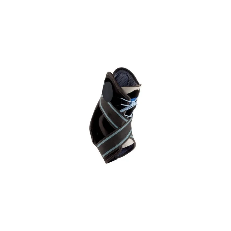 vital2420261021023215193170